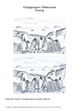 022 pinguin fehlersuche 5 lösung.pdf